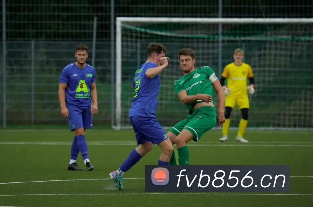 多媒体互动体验